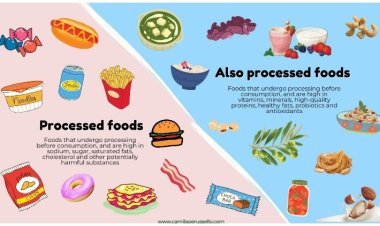 10 Foods to Avoid at Any Cost : Understanding and Avoiding Counterfeit Foods