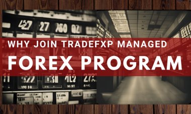 How to Join TradeFxP's Managed Forex Trading Account Program