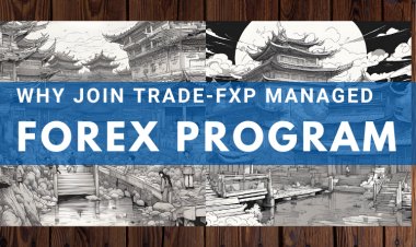为什么TradeFxP的Trident外汇交易自动机器人是世界上最好的