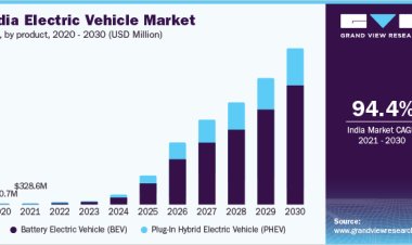 What India Is Teaching USA in EV Market