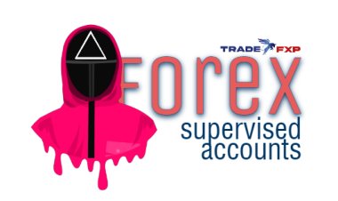 What's in it for you with TradeFxP's Managed Accounts Program?