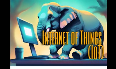 Internet of Things (IoT)