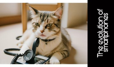 The evolution of smartphones