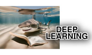 What is Deep Learning