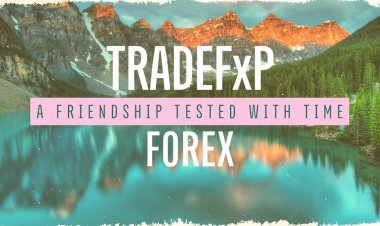 Forex, and TradeFxP – A friendship tested with time