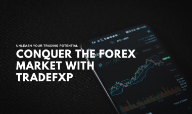 Conquer the Forex Market with TradeFxP