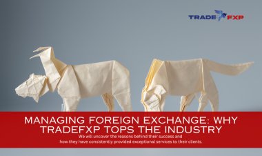 Managing Foreign Exchange: Why TradeFxP Tops the Industry