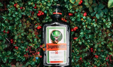 The Fascinating Story of Jägermeister: From German Origins to American Parties