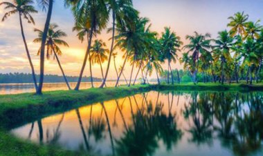 Exploring Kerala: God's Own Country and Its Unique Features