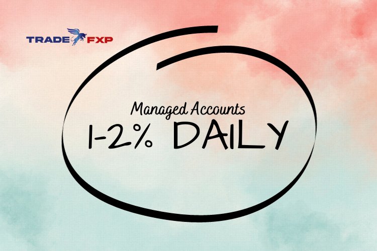 Why You Should Join the TradeFxP Managed Accounts Program to Earn 1-2% Daily Profits