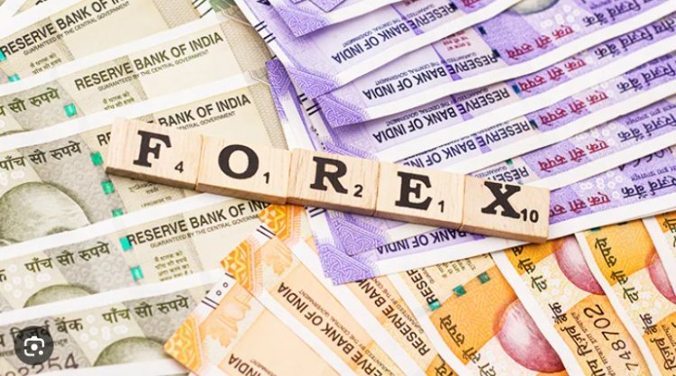 Why TradeFxP is the Best Broker for Forex Trading in India