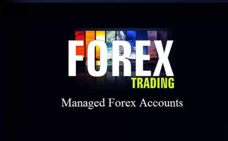 Maximise Profits with Managed and AI Robot Forex Trading Accounts at TradeFxP