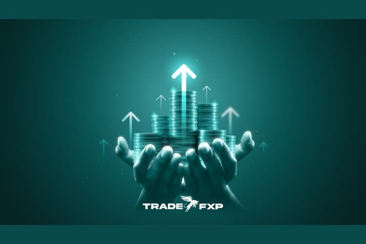 Why TradeFxP is the Best Forex Broker