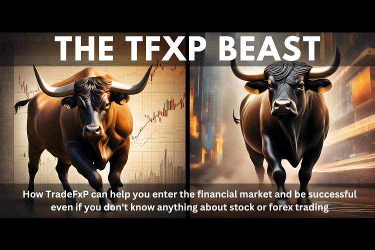 How TradeFxP can help you enter the financial market and be successful even if you don't know anything about stock or forex trading
