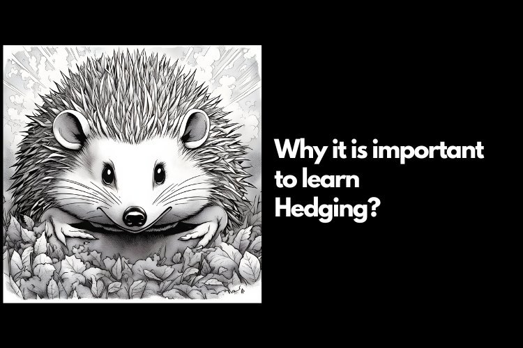 Introduction to Hedgehog (hedging) Investing