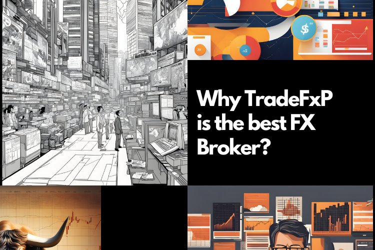 Why You Should Learn Day Trading These Days with TradeFxP