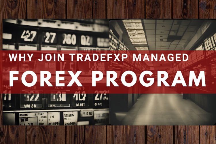 How to Join TradeFxP's Managed Forex Trading Account Program