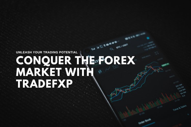 Conquer the Forex Market with TradeFxP