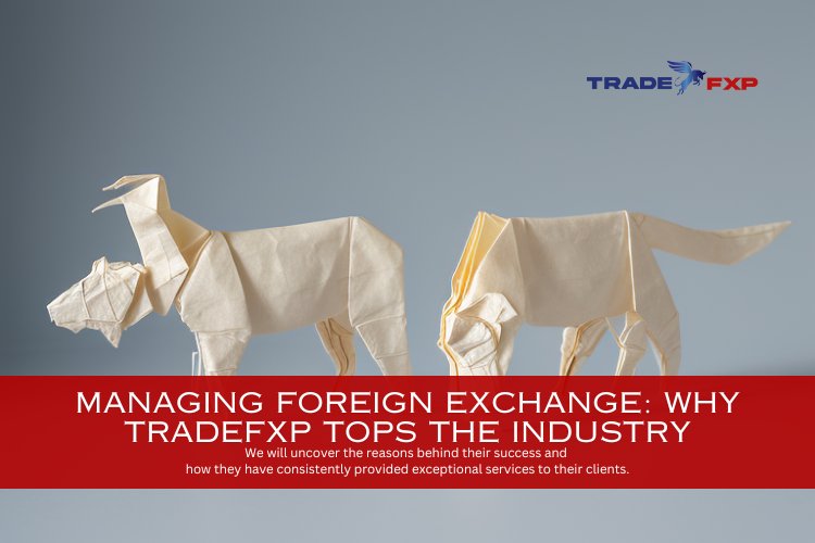 Managing Foreign Exchange: Why TradeFxP Tops the Industry