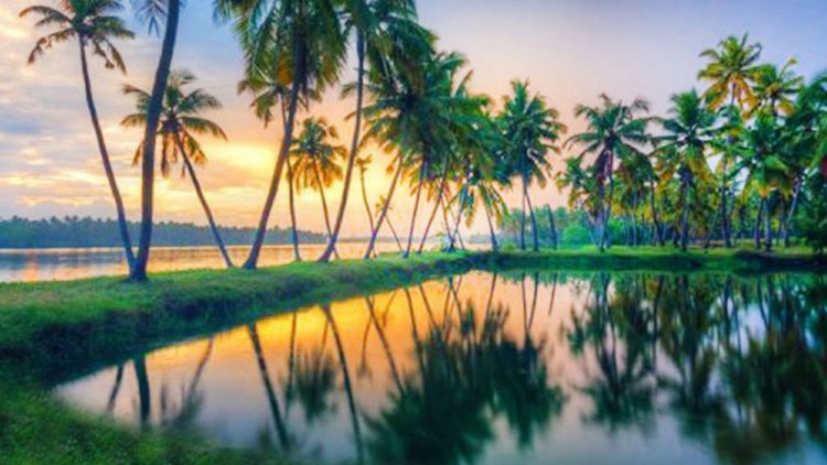 Exploring Kerala: God's Own Country and Its Unique Features