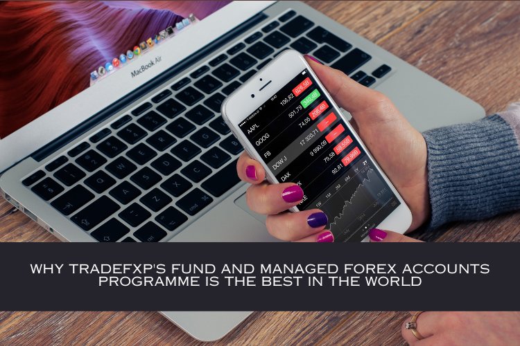 Why TradeFxP's fund and managed Forex accounts program is the best in the world