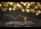 Forex trading and stock trading: which is the best for higher profits?