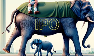 Understanding the risks and rewards of investing in initial public offerings (IPOs)