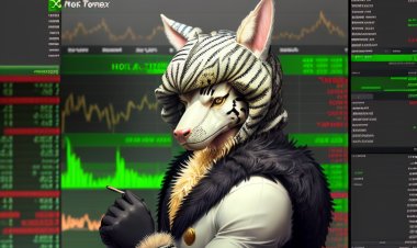 Uncovering hidden gems in the stock market for long-term growth