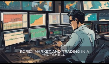 Master the World of Forex Trading: A Guide for Every Level