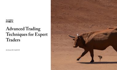 Mastering Forex: Advanced Trading Techniques for Expert Traders