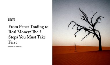 From Paper Trading to Real Money: The 5 Steps You Must Take First