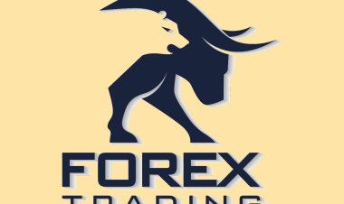 Master Forex Trading with TradeFxP: Your Ultimate Trading Partner