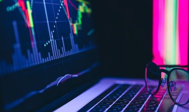 Entering the wild world of Forex Trading