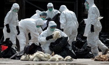 China's "Walking Pneumonia" Outbreak Worsens: Thousands Hospitalized