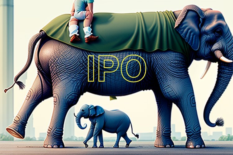 Understanding the risks and rewards of investing in initial public offerings (IPOs)