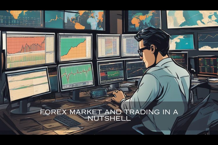 Master the World of Forex Trading: A Guide for Every Level