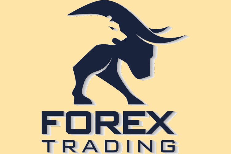 Master Forex Trading with TradeFxP: Your Ultimate Trading Partner