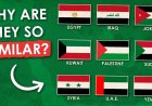 Why do all Arab countries have similar flags?