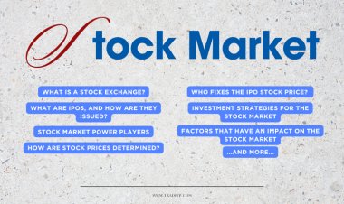 Understanding the Stock Market: A Comprehensive Investor's Guide