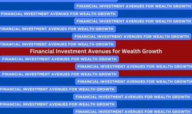 Financial Investment Avenues for Wealth Growth