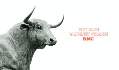 Reverse Market Crash