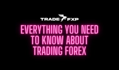 Everything You Need to Know About Trading Forex