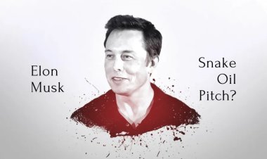 The Rise and Struggles of Tesla: From Roadsters to Model S