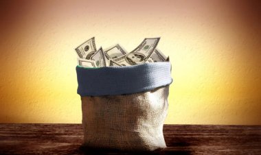 Discover the 7 secrets to success in forex trading with TradeFxP