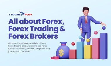 Forex Trading Guide with Top Forex Brokers | TradeFxP