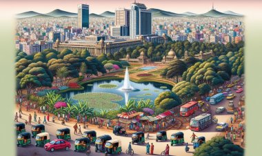 Exploring Bangalore: A Megacity in the Silicon Valley of India