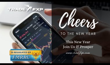 TradeFxP: Exploring Low-Risk Trading Options and Loss Recovery Strategies