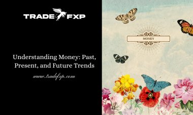 Understanding Money: Past, Present, and Future Trends