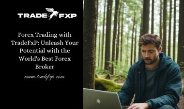 Forex Trading with TradeFxP: Unleash Your Potential with the World's Best Forex Broker