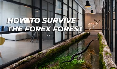 The Impact of Artificial Intelligence on Forex and Stock Trading